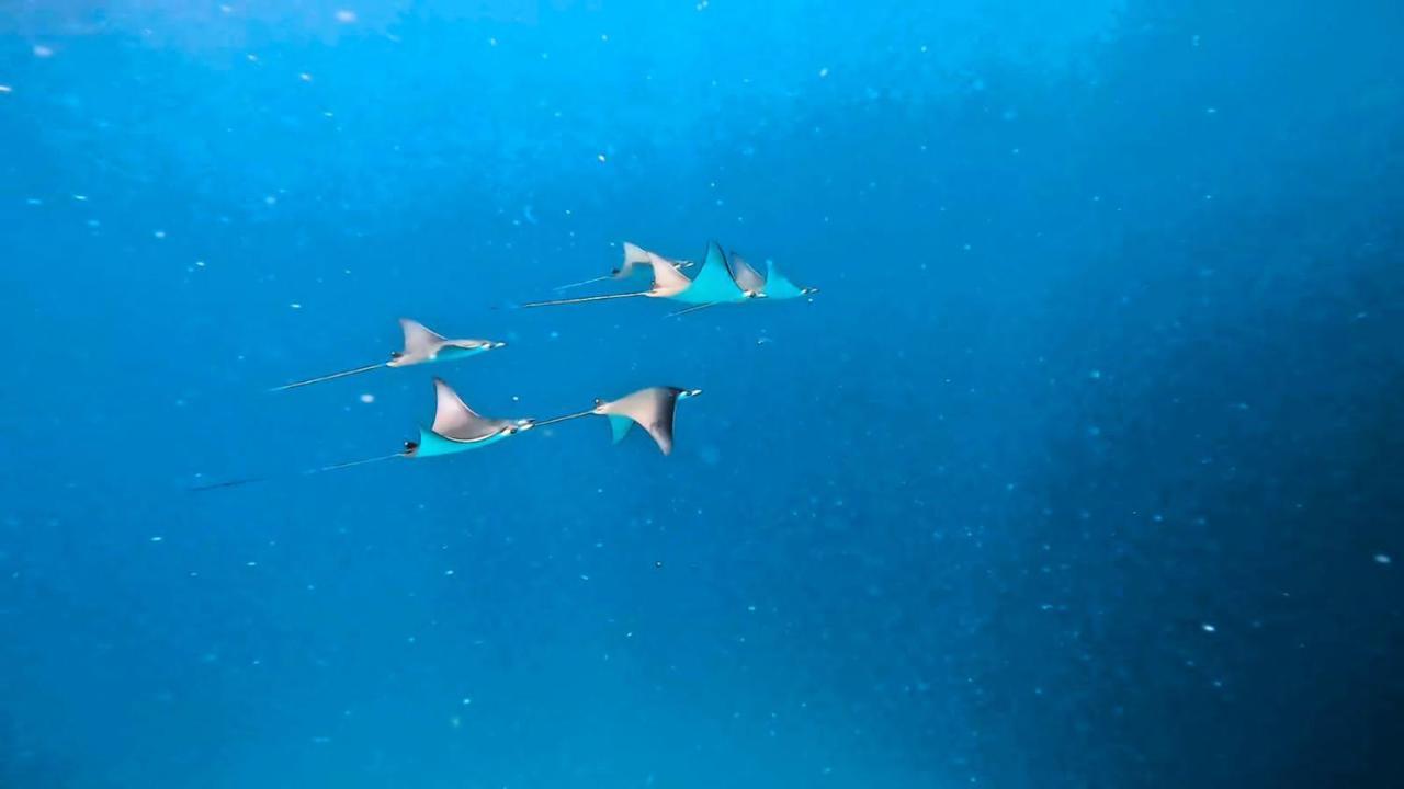 גולהי Beach Stone מראה חיצוני תמונה